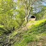 Reetdachkate Fuchsgraben - Naturnah & Stilvoll Mit Wald-sauna * Steinbergkirche
