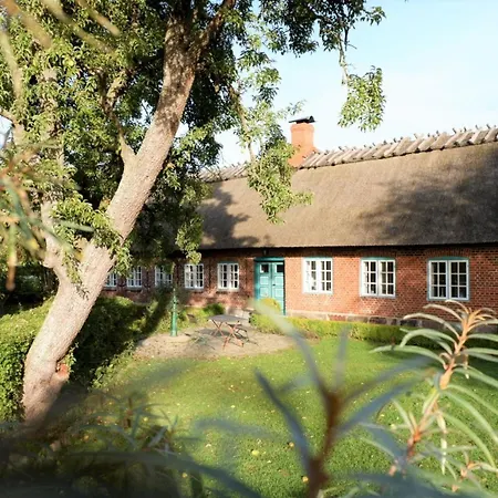 Reetdachkate Fuchsgraben - Naturnah & Stilvoll Mit Wald-sauna Prázdninový dům *