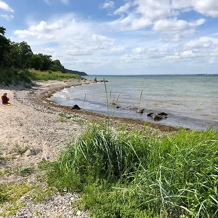 Reetdachkate Fuchsgraben - Naturnah & Stilvoll Mit Wald-sauna Feriehus Steinbergkirche