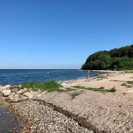 Reetdachkate Fuchsgraben - Naturnah & Stilvoll Mit Wald-sauna Feriehus Steinbergkirche