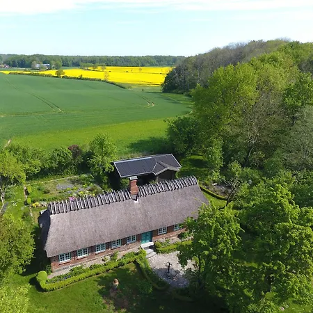 Reetdachkate Fuchsgraben - Naturnah & Stilvoll Mit Wald-sauna 펜션 Steinbergkirche