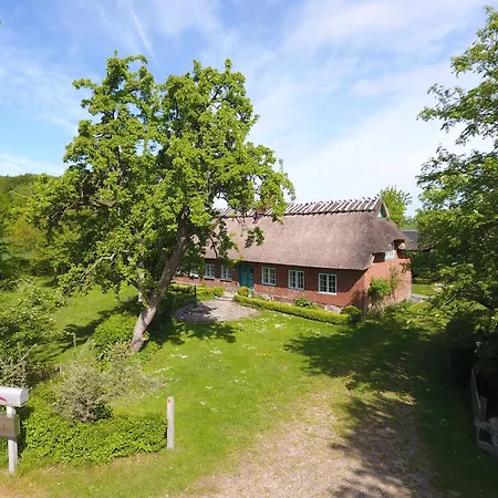 Reetdachkate Fuchsgraben - Naturnah & Stilvoll Mit Wald-sauna * Steinbergkirche