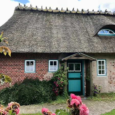 Feriehus Reetdachkate Fuchsgraben - Naturnah & Stilvoll Mit Wald-sauna