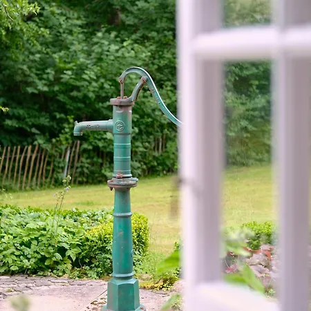 Reetdachkate Fuchsgraben - Naturnah & Stilvoll Mit Wald-sauna *