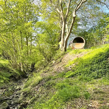 Reetdachkate Fuchsgraben - Naturnah & Stilvoll Mit Wald-sauna * Steinbergkirche