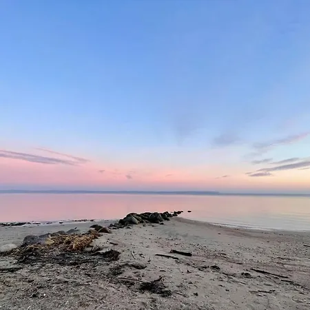Reetdachkate Fuchsgraben - Naturnah & Stilvoll Mit Wald-sauna Steinbergkirche