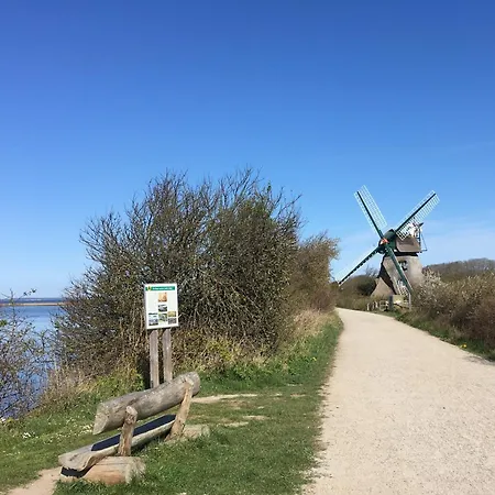Feriehus Reetdachkate Fuchsgraben - Naturnah & Stilvoll Mit Wald-sauna
