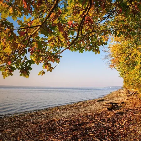 Reetdachkate Fuchsgraben - Naturnah & Stilvoll Mit Wald-sauna