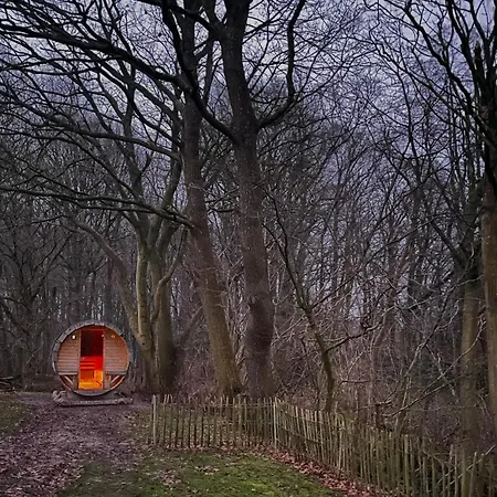 Reetdachkate Fuchsgraben - Naturnah & Stilvoll Mit Wald-sauna Feriehus