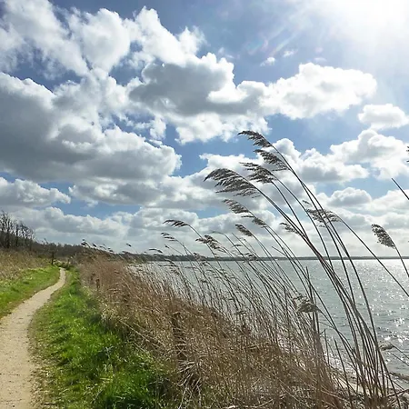 Reetdachkate Fuchsgraben - Naturnah & Stilvoll Mit Wald-sauna * Steinbergkirche