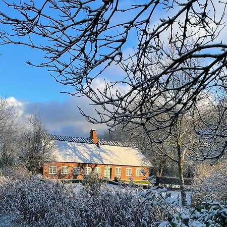 Reetdachkate Fuchsgraben - Naturnah & Stilvoll Mit Wald-sauna Steinbergkirche