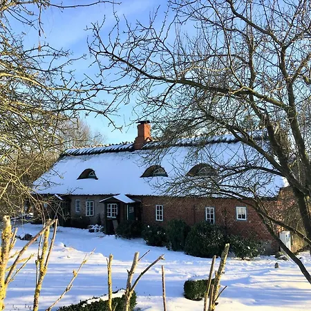 Reetdachkate Fuchsgraben - Naturnah & Stilvoll Mit Wald-sauna Steinbergkirche
