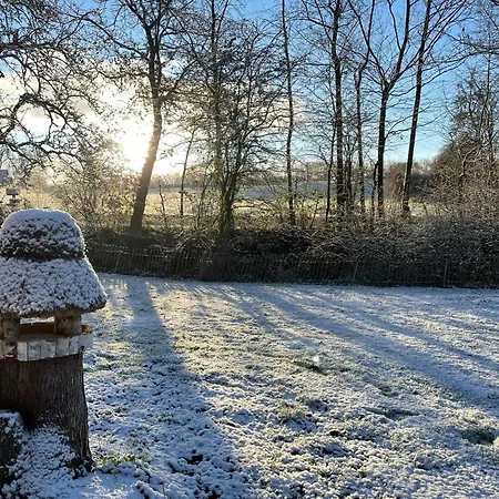 Feriehus Reetdachkate Fuchsgraben - Naturnah & Stilvoll Mit Wald-sauna *