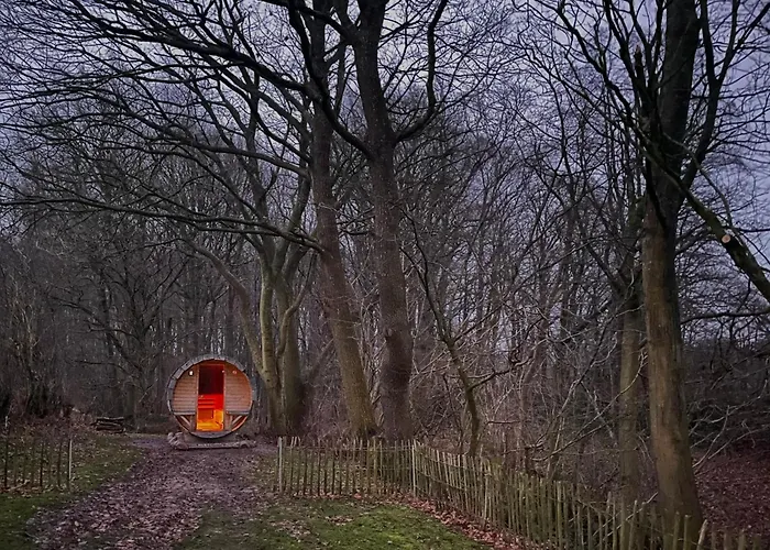 Reetdachkate Fuchsgraben - Naturnah & Stilvoll Mit Wald-sauna Feriehus